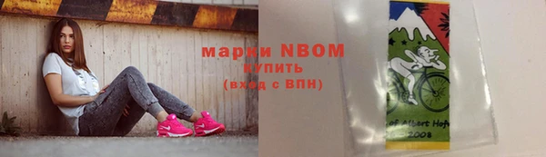 стаф Новодвинск