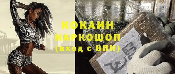 стаф Новодвинск