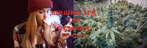 стаф Новодвинск