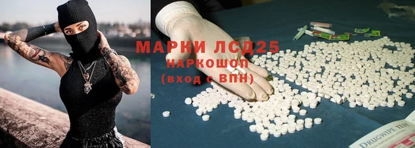 стаф Новодвинск