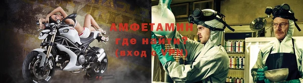 стаф Новодвинск