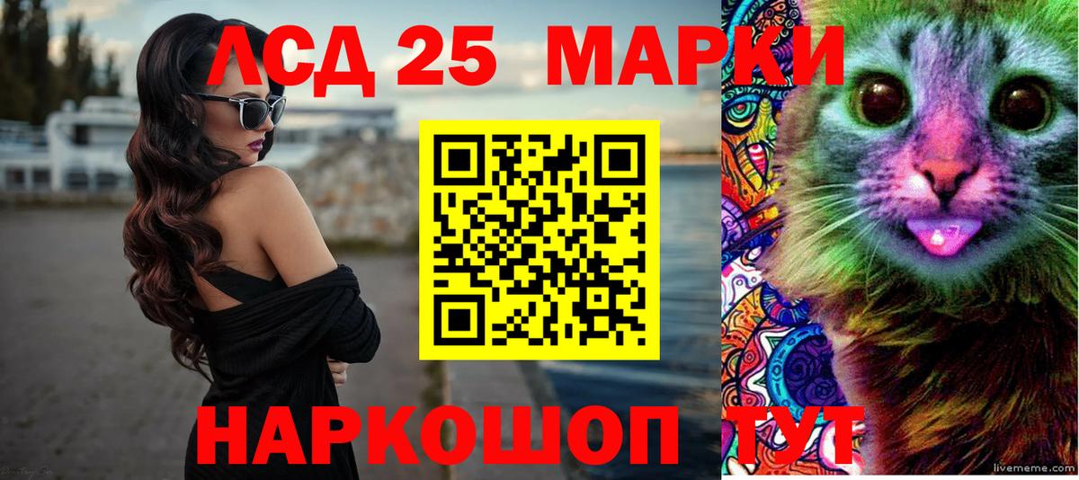 LSD-25 экстази кислота  Лсд 25 экстази кислота  LSD-25 экстази  Новоалександровск  Вход с VPN 