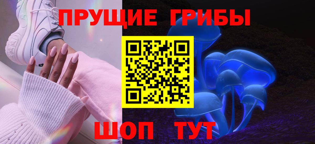 Новоалександровск  Галлюциногенные грибы Magic Shrooms  Вход с VPN 