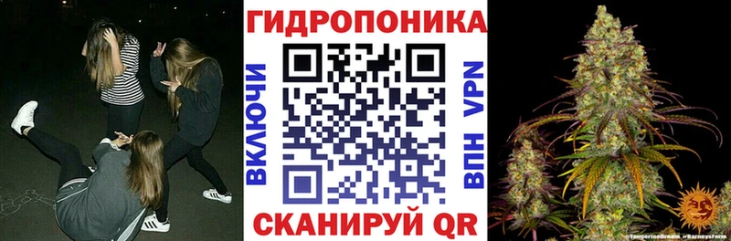 даркнет сайт  Новоалександровск  Бошки марихуана Amnesia 