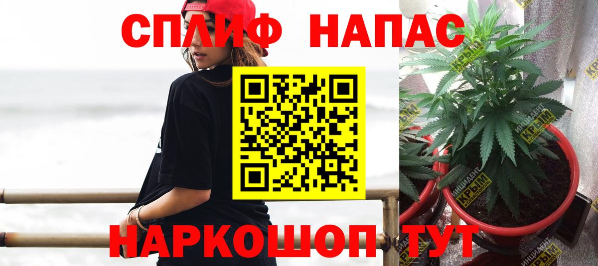 Новоалександровск  Канабис семена  Конопля SATIVA & INDICA  Каннабис сатива  Вход с VPN 